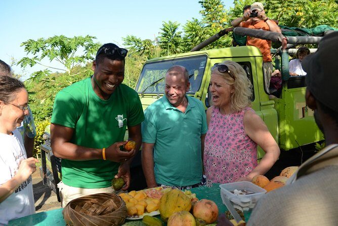 Rainforest Hike & Waterfall Safari St. Lucia From Castries - What Travelers Say