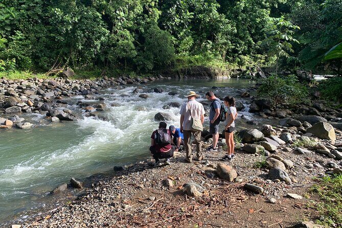 Rainforest River Nature Walk Adventure and Luquillo Beach - What’s Included and What’s Not