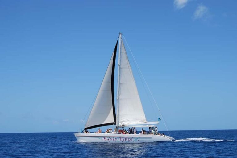 Romantic Caribbean Sunset Cruise - Practical Details and Value