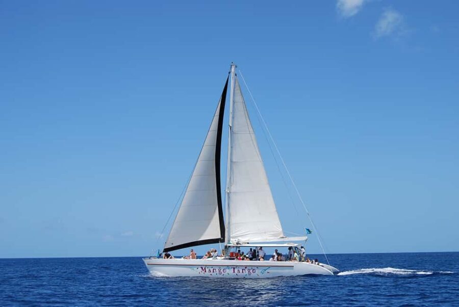 Romantic Caribbean Sunset Cruise - Practical Details and Value