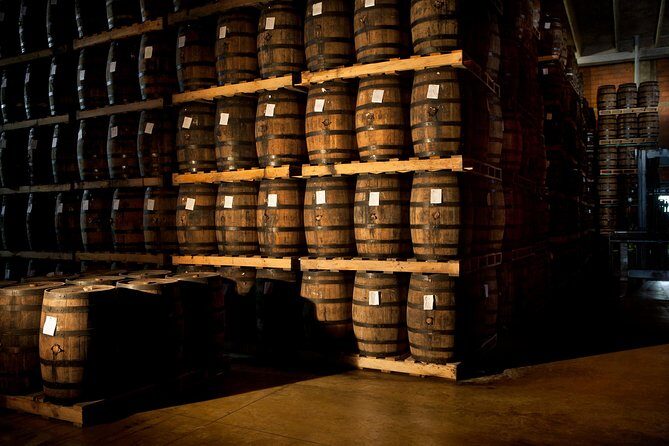 Ron Barcelo Imperial Experience tasting at aging cellar - The Experience: A Deep Dive into Rum-Making