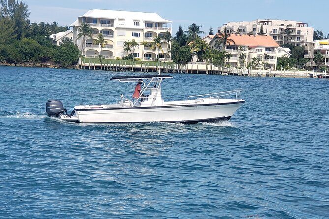 Rose Island: Private Snorkeling, Fishing, and Swimming with Pigs - The Bottom Line: Who Should Consider This Tour?