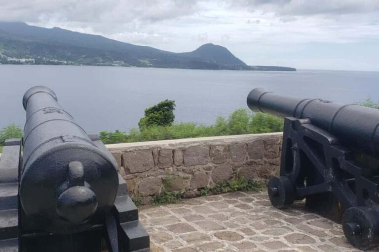 Roseau: Indian River and Fort Shirley Tour with Lunch - What to Expect: A Well-Rounded Half-Day Adventure