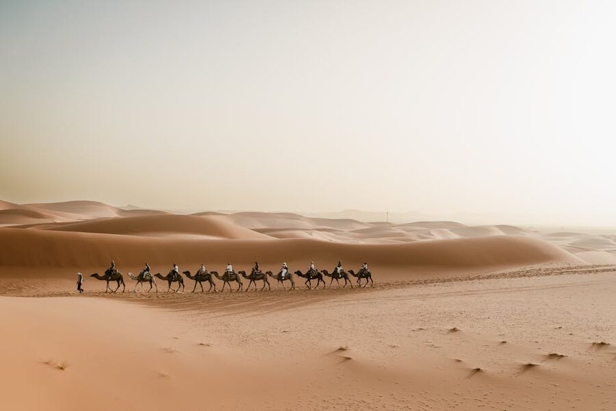 3-day Sahara group tour caravan