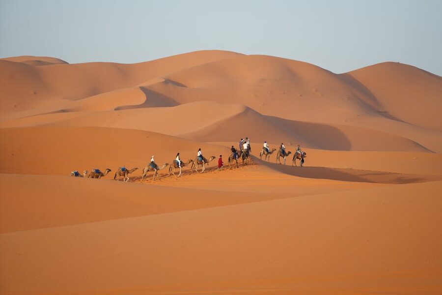 Camel caravan in Merzouga at sunset