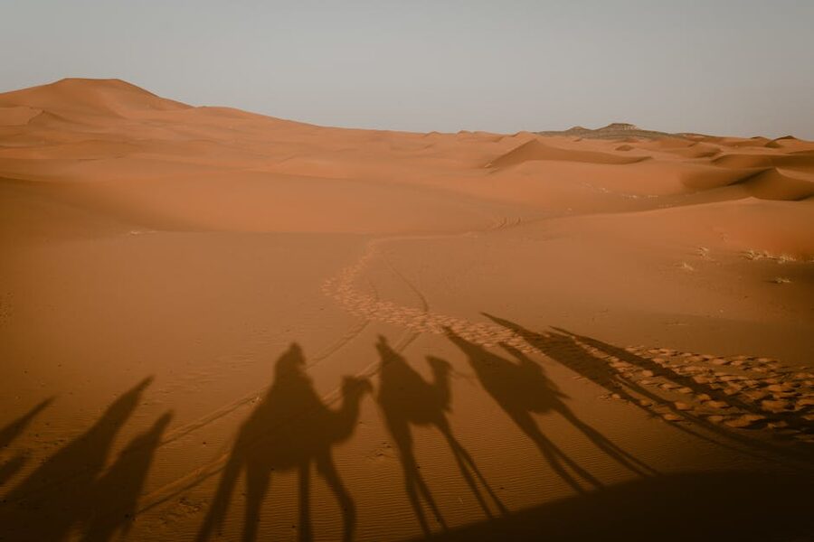 Private Merzouga tour experience