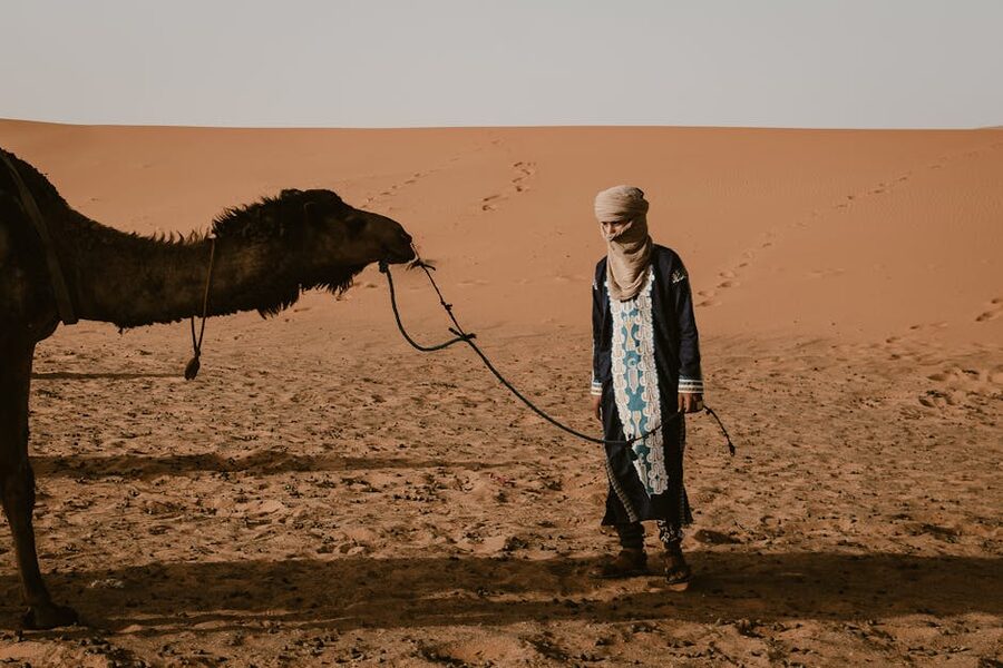 Berber man leading camel Sahara