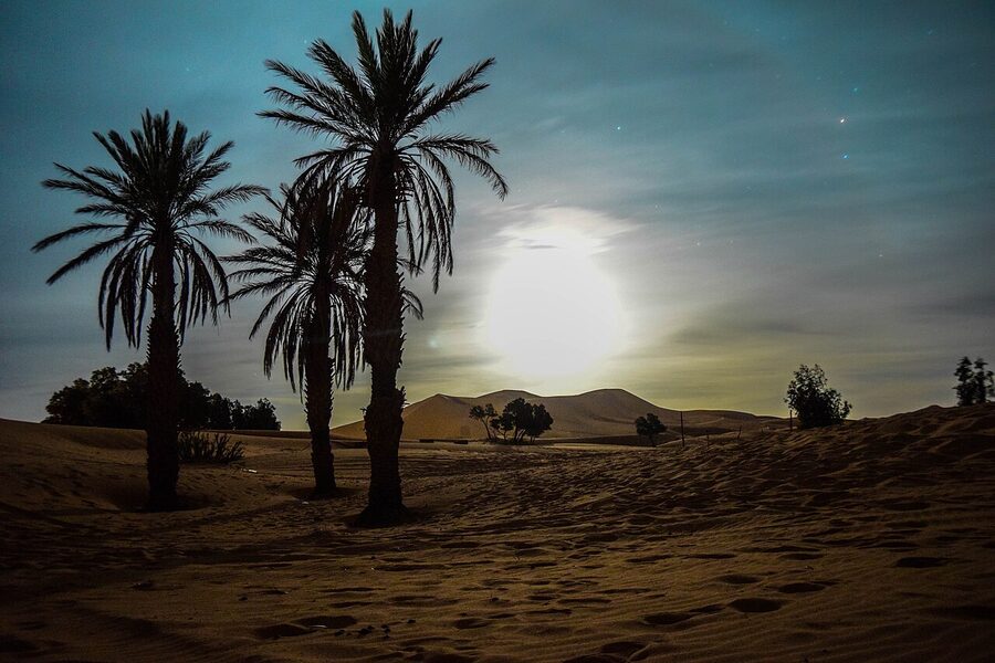 Merzouga desert wide view