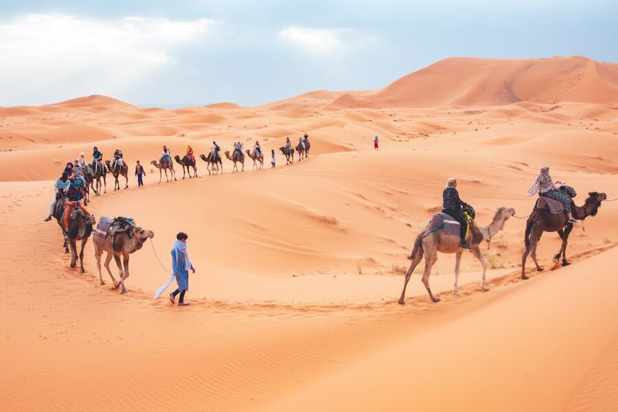 Tourists riding camels Merzouga dunes
