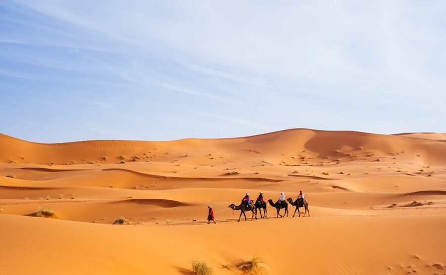 Tourists riding Sahara camel