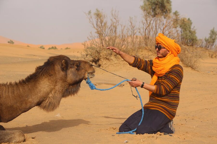 Berber tradition attire with camel