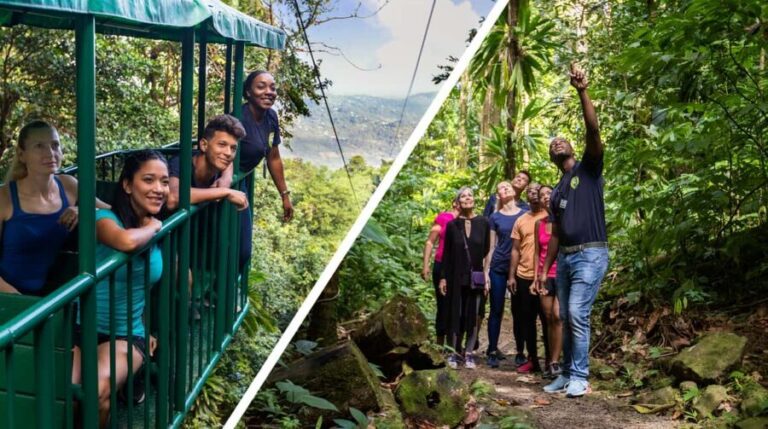 Saint Lucia: Aerial Tram Tour at Rainforest Adventures - The Guides and the Learning Experience