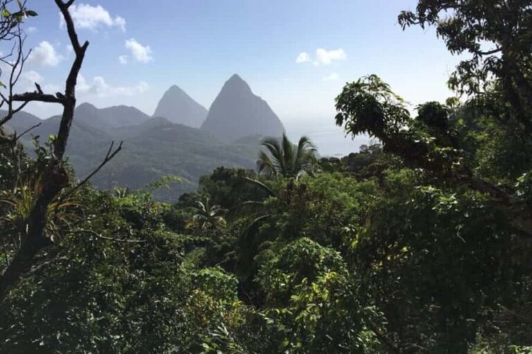 Saint Lucia: Tet Paul Nature Trail Hiking Tour & Beach - The Experience on the Ground