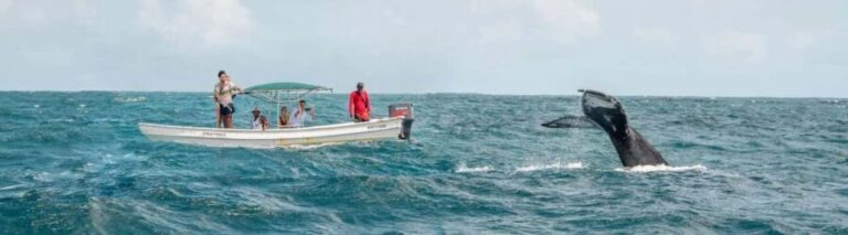 Samaná: Whale Watching Tour with Snacks - What Makes This Tour Unique?