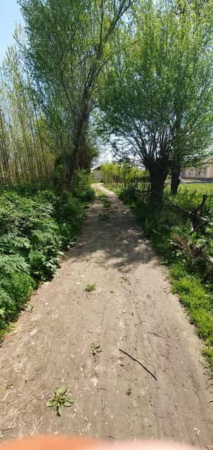 Samarkand: Village Tour with Plov Cooking Class & Home Visit - The Value of Genuine Cultural Engagement