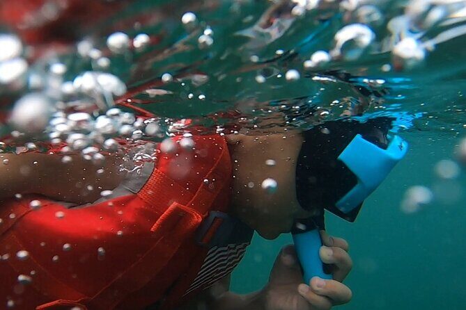 San Juan: Kids and Family Snorkeling Adventure with Videos - Who Will Love This Tour?