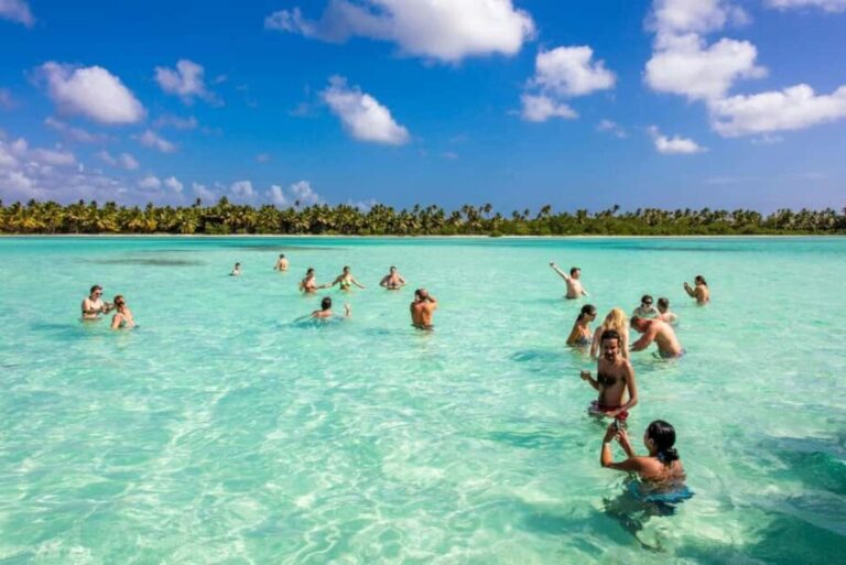 Saona Island from Punta Cana Day Trip with Open Bar - The Practical Details: Transportation, Timing, and Comfort