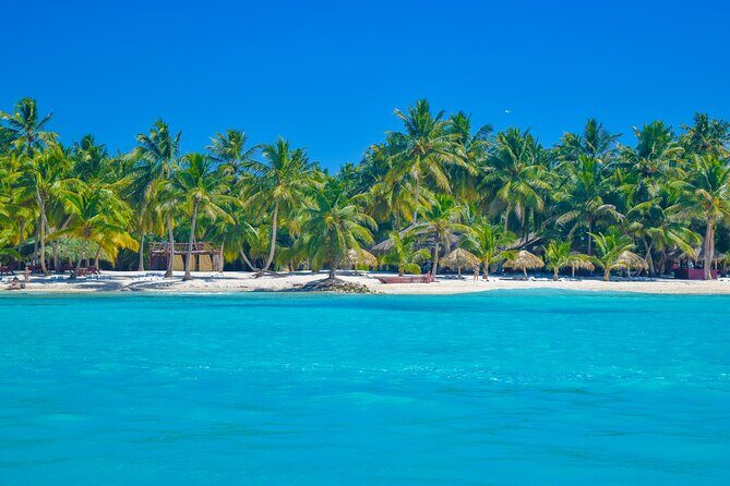 Saona Island Full-Day All-Inclusive Tour from Santo Domingo - The Itinerary: A Closer Look