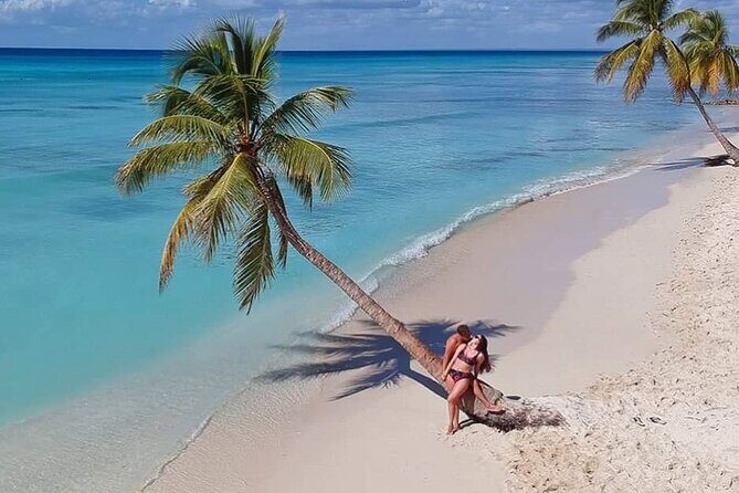 Saona Island Full Day Tour Lunch and Transportation Included - Practical Details and What to Expect