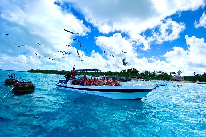 Saona Island, Natural pool Starfish, Fast boat, Catamaran +Dances - Authentic Experiences & Traveler Insights