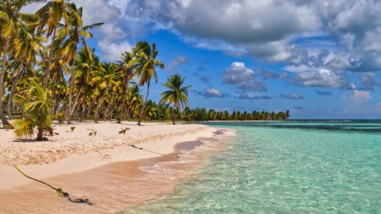 Saona Island: Punta Cana All-Inclusive - Transportation and Group Dynamics