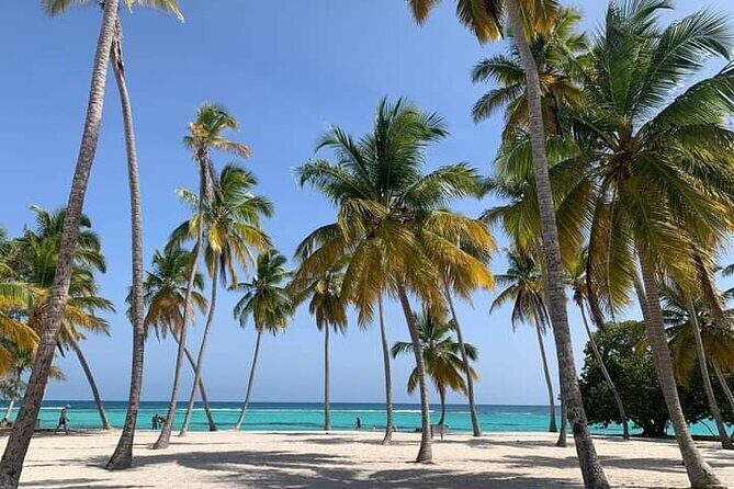 Saona Island Tour from Punta Cana All Inclusive - Who Should Consider This Tour?