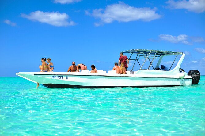 Saona Island Tour with Altos de Chavón from Punta Cana - Transportation and Group Size
