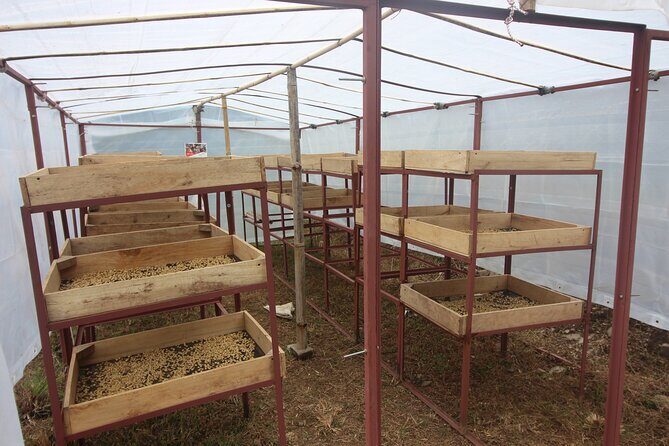 Sarangkot Village Coffee Culture and Authentic Local Life Tour - Exploring the Itinerary in Depth