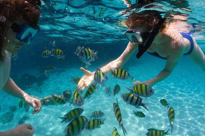 Scape Park Sunshine Cruise at Cap Cana - The Sum Up