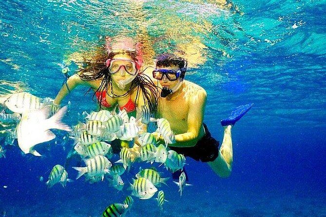 Scuba Diving at Catalina Island - 2 tank | 2 spots - What’s Included and What’s Not?