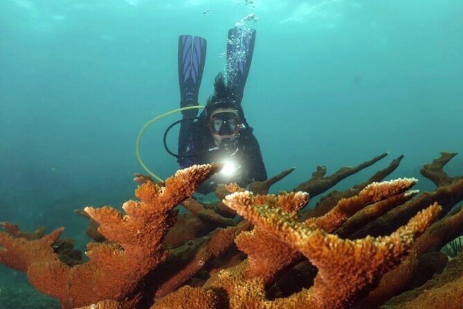 Scuba Tour for Certified Divers in San Juan - Who Should Consider This Tour?
