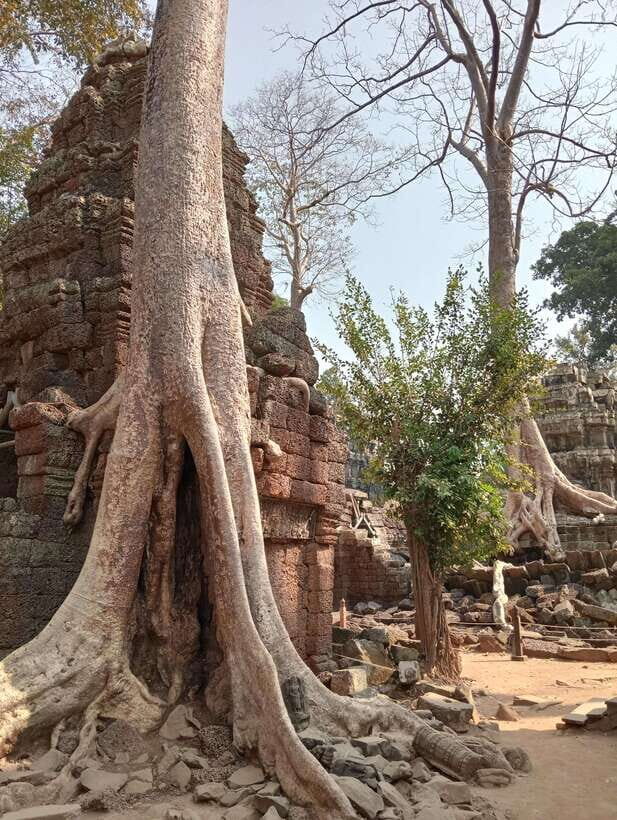 Siem Reap: Angkor Full-Day Group Tour with Japanese Guide - Key Points: