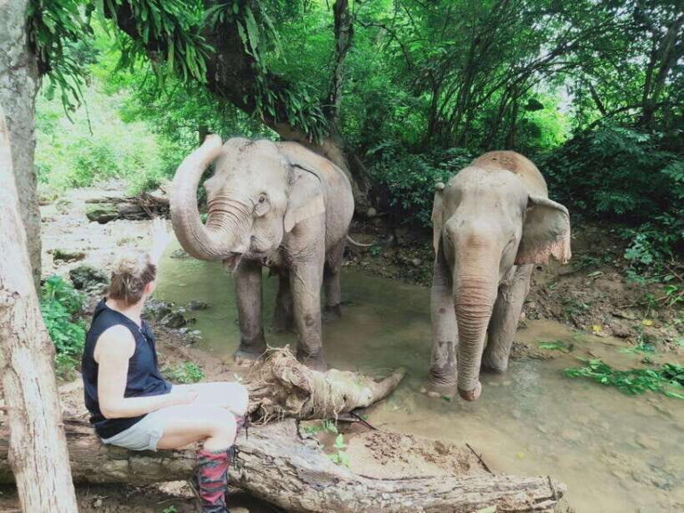 Siem Reap: Elephants & Apopo Rat Demining Private Trip - Why This Tour Offers Great Value