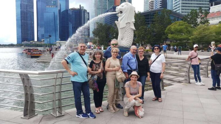 Singapore: Chinatown and Little India Private Walking Tour - The Practical Details