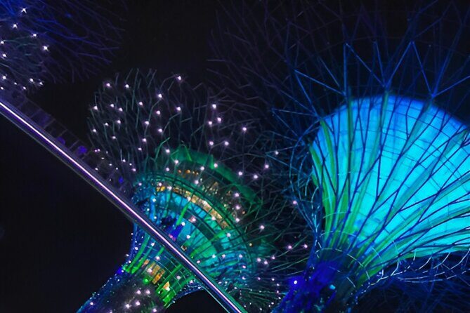 Singapore OCBC Skyway Flower dome Cloud Forest Garden by the Bay - Authentic Insights from Visitors