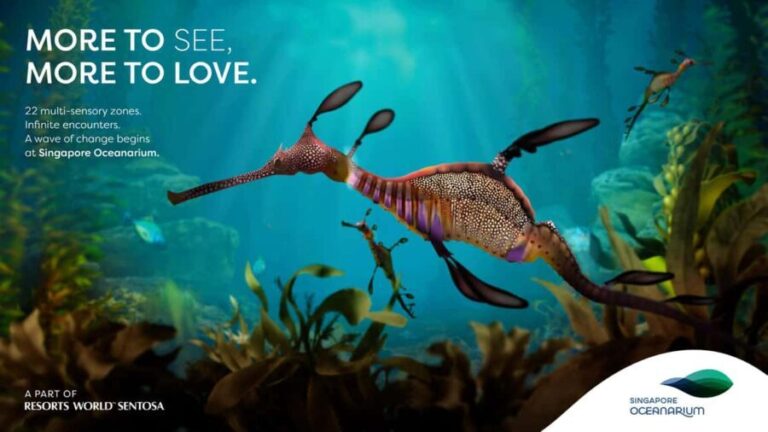 Singapore: Singapore Oceanarium Entrance Ticket - Key Points