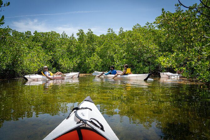 Small Group Glass Bottom Kayak Adventure- Cayman Islands - Who Will Love This Tour?