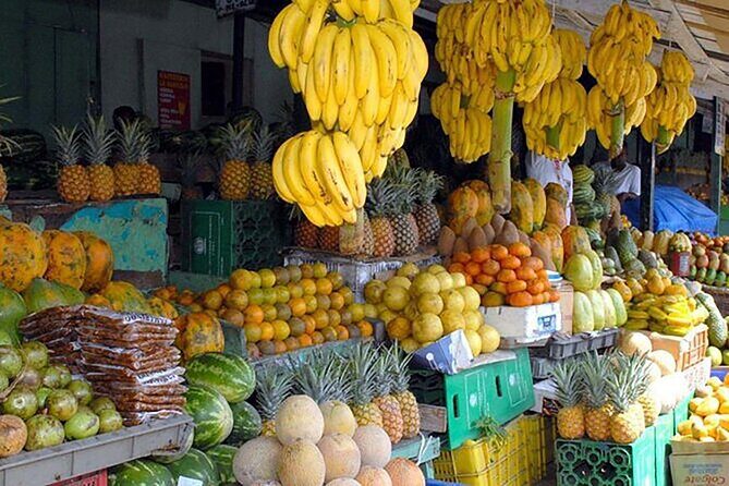 Small Group: Half-Day Cultural Tour of Punta Cana - Food and Drinks