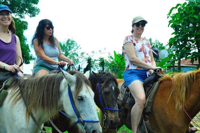 Small Group: Half Day Punta Cana Cultural Tour - Final Thoughts