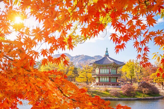 Small group(7pax) tour in Seoul including picking up(No shopping) - The Small Group Dynamic