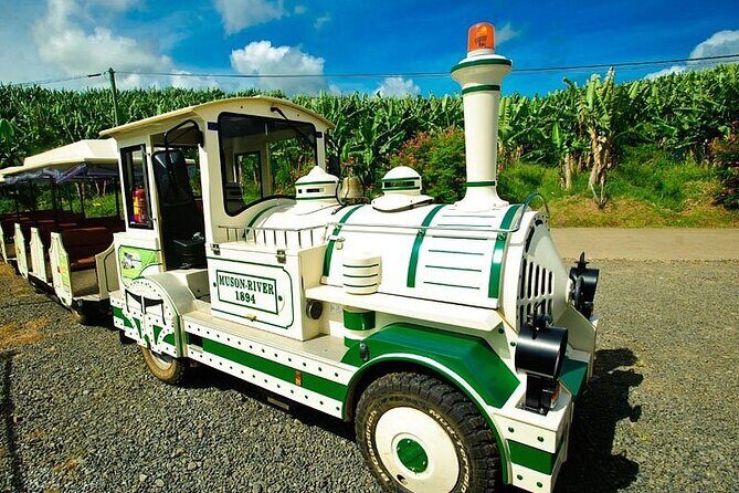 Small train tour of a banana farm in Martinique - The Pros and Cons