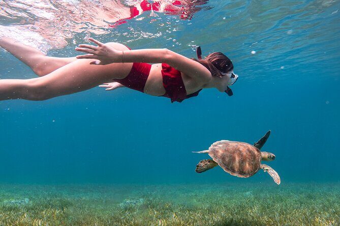 Snorkel, Swim & Snap-w/ Video - Is It Worth the Price?