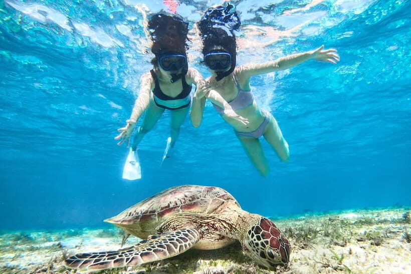 Snorkeling Activity in Okinawa Miyako Japan - Exploring the Tour: What You Can Expect