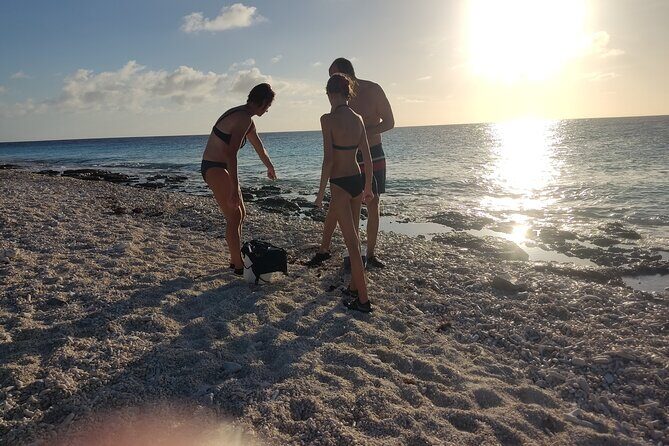 Snorkeling and Grilling Fresh Fish at Donkey Beach - What the Tour Means for the Traveler