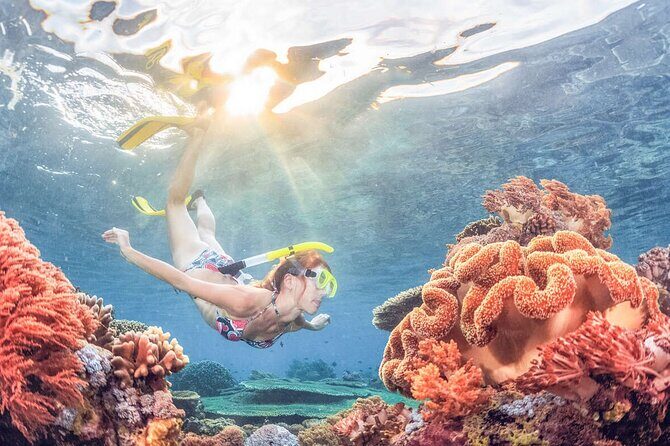 Snorkeling at Blue Lagoon Bali with Lunch and Transport - Who Should Book This Tour?