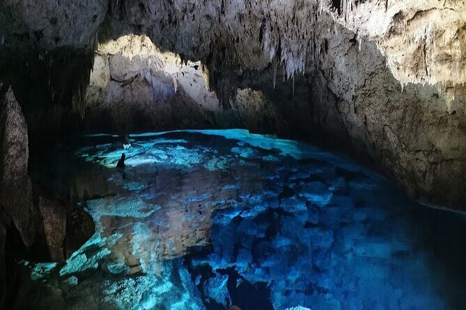 Snorkeling in the Cenotes of Bayahibe - Who Should Book This Tour?