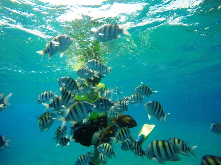Snorkeling Tour & Sosua Beach Day - Understanding the Itinerary