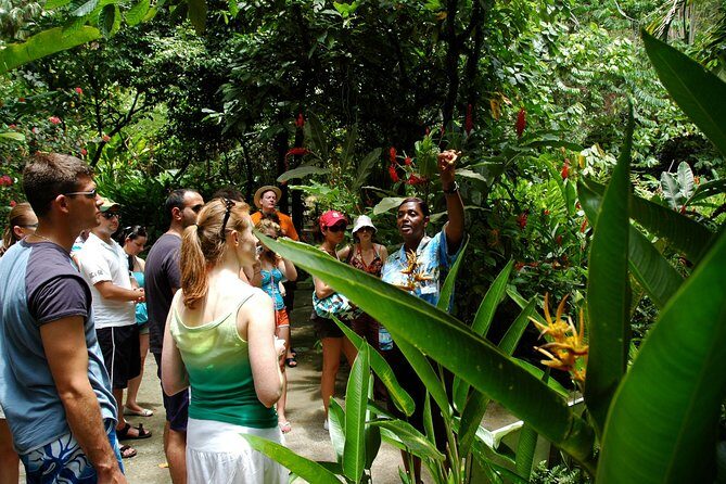 Soufriere Island Delight - What the Tour Means for You