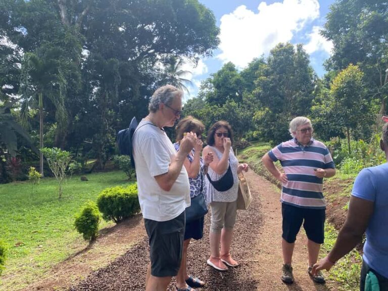 St. George's: Half-day spice and waterfall tour - What the Tour Entails: Step-by-Step