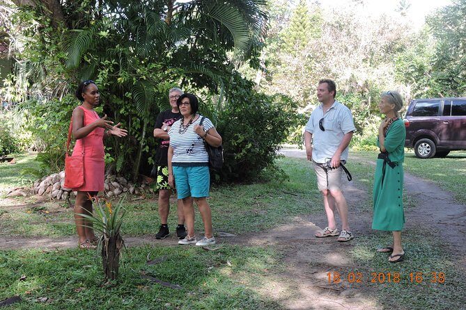 St Lucia Sunday's Tour - The Experience of a Lifetime — What the Reviews Tell Us